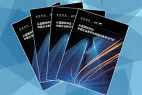 《从蓝图到伟业：中国企业数字化转型的思考与行动》